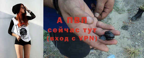 стафф Аркадак