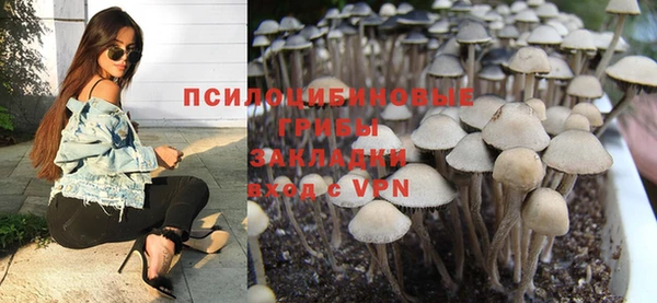 стафф Аркадак