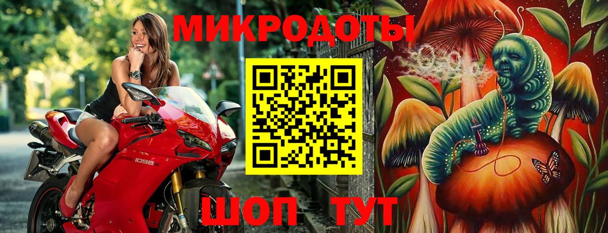 Галлюциногенные грибы Psilocybine cubensis Спасск-Дальний